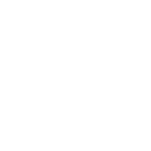 Switch & Outlet Repair and Installation